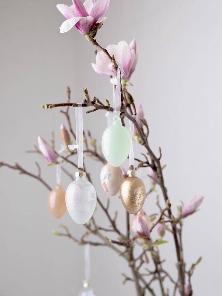 Paastak magnolia