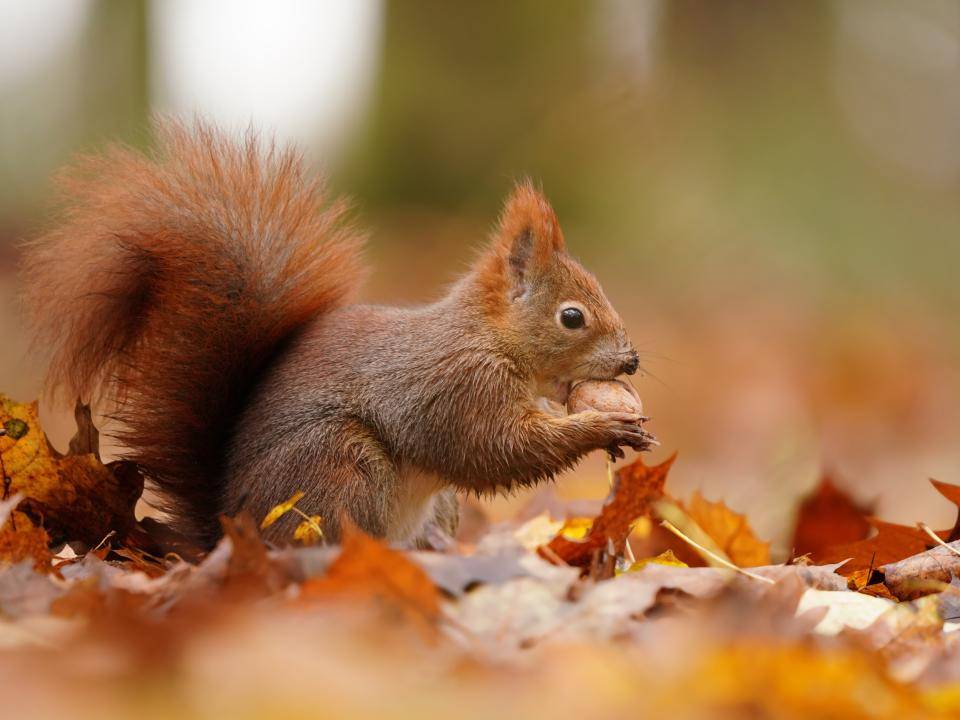 shutterstock_2177756471 (1)