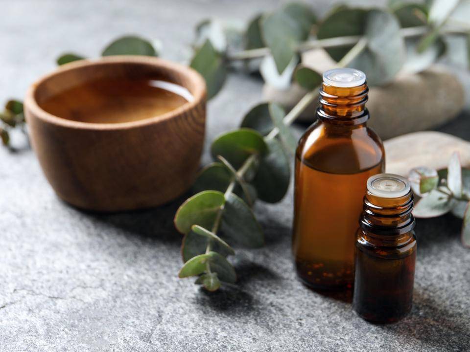 Eucalyptus