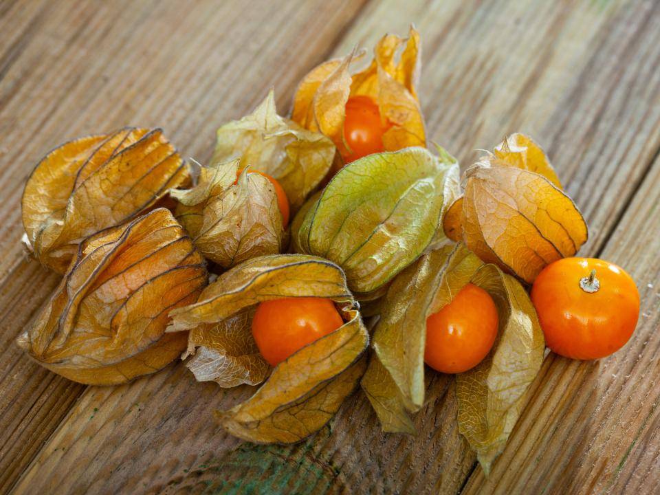 shutterstock_2499872053