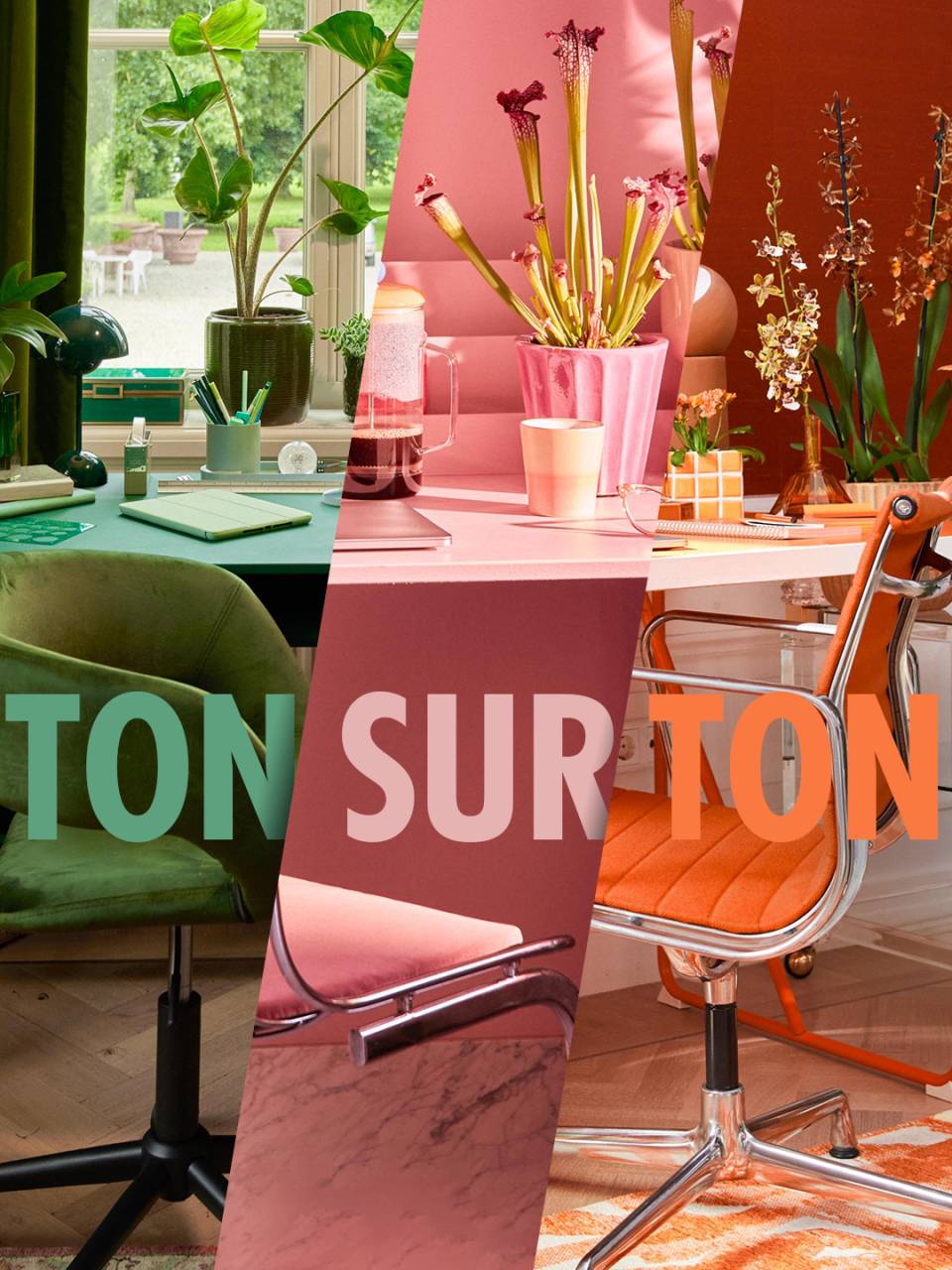 Ton Sur Ton groen roze oranje