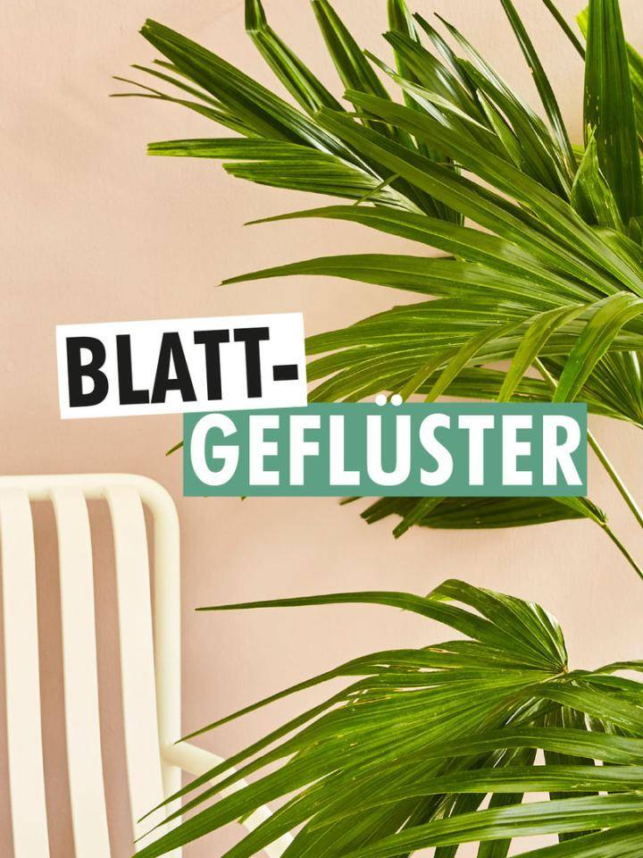 Blattgefluster podcast