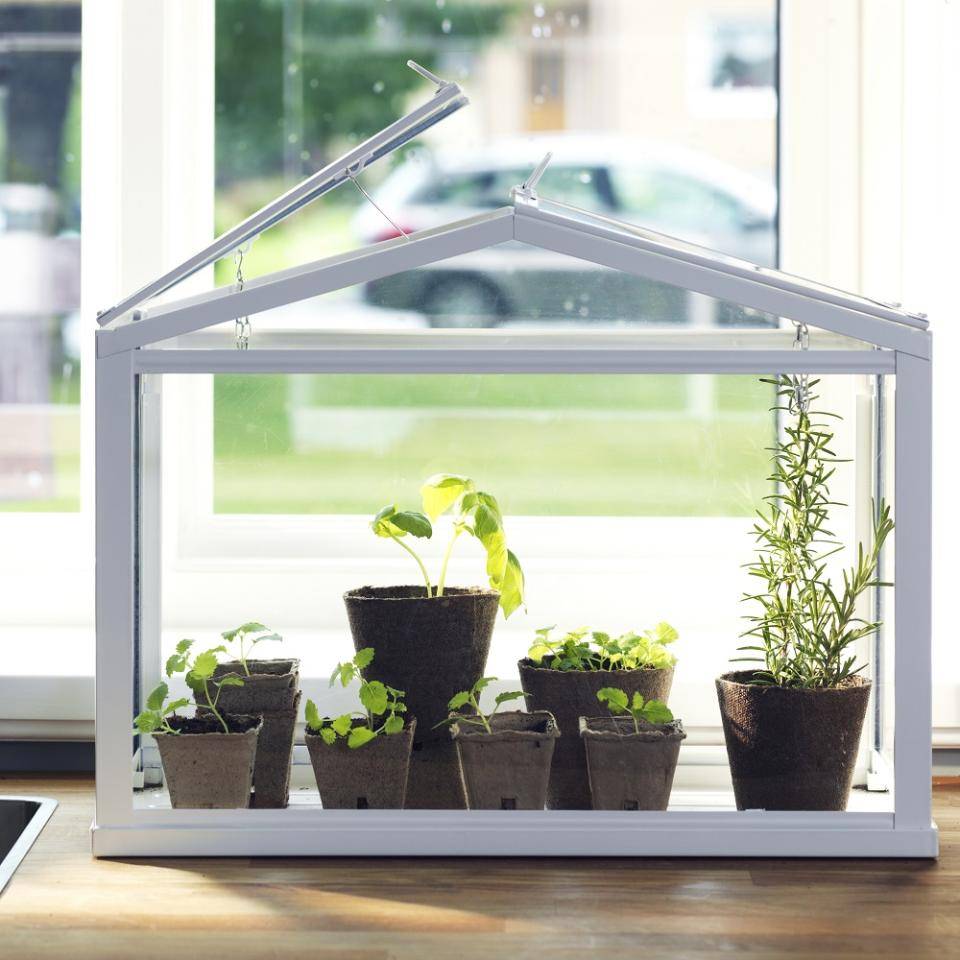 socker_indoor_greenhouse_from_ikea_0