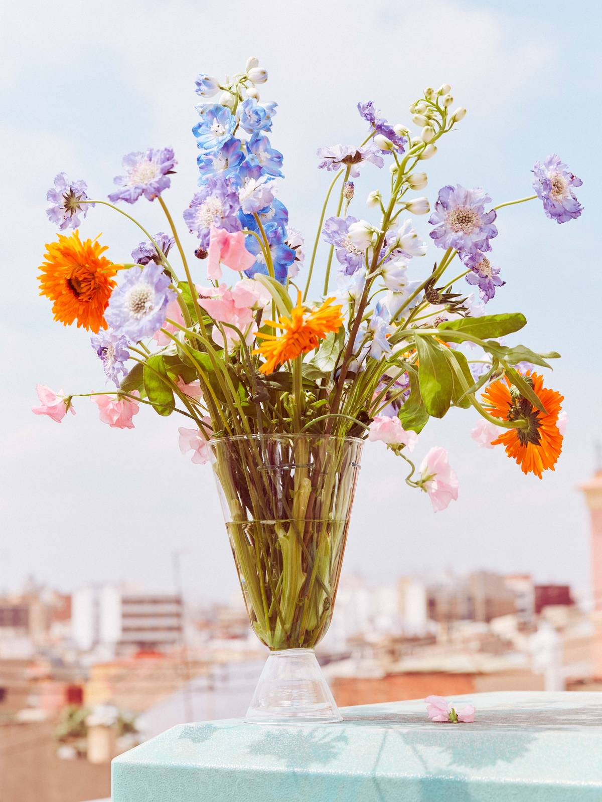 summer 2019-0052
