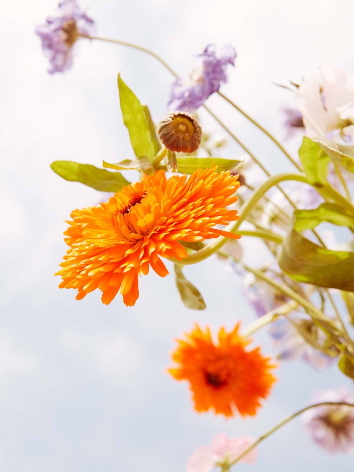 summer 2019-0068