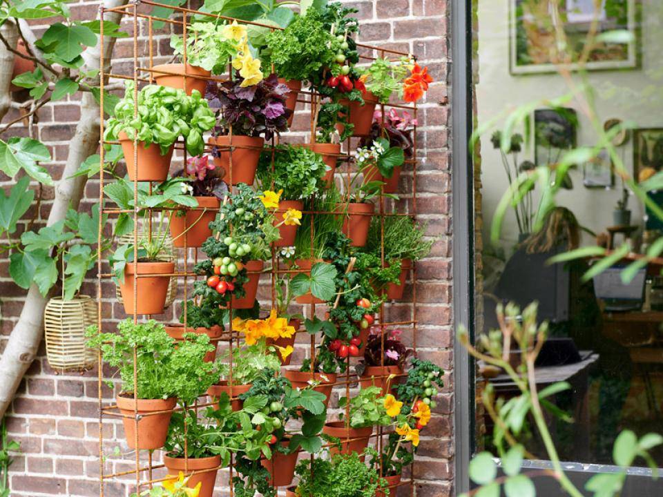 thema-eetbare-tuin-mooiwatplantendoen.nl_ (1)