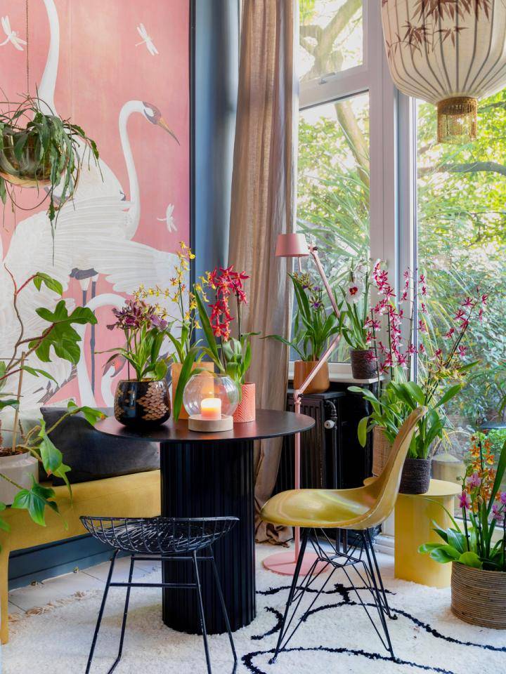 Jungle van orchideen