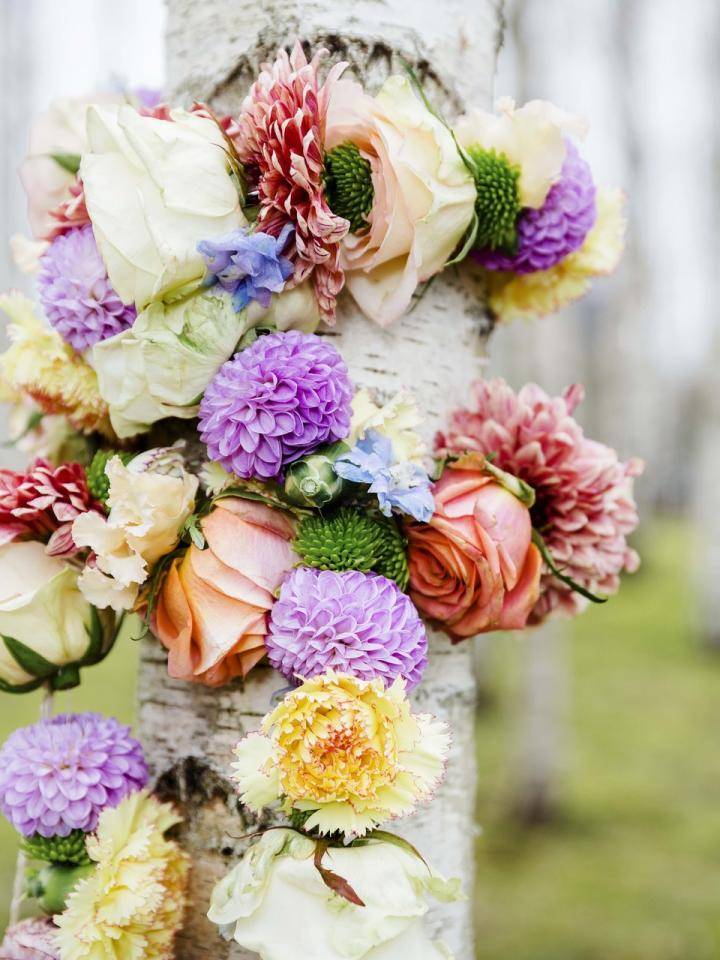 Bloemen aan een boom