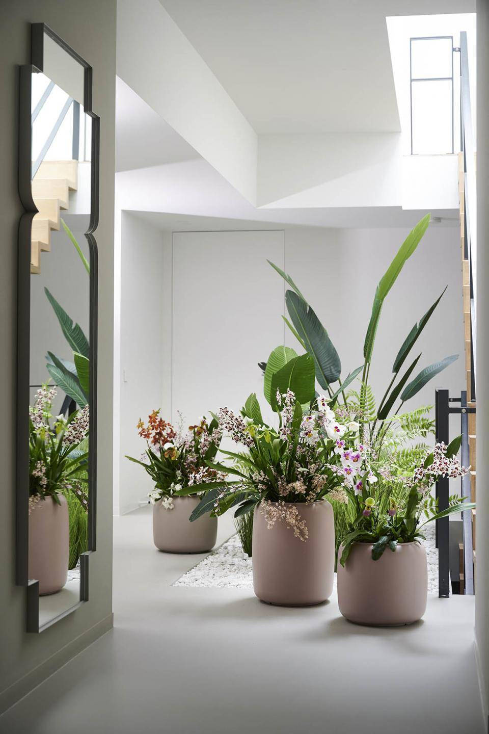 Jungle van orchideen