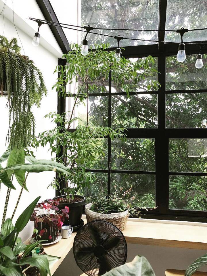 urbanplantconservatory - keuken