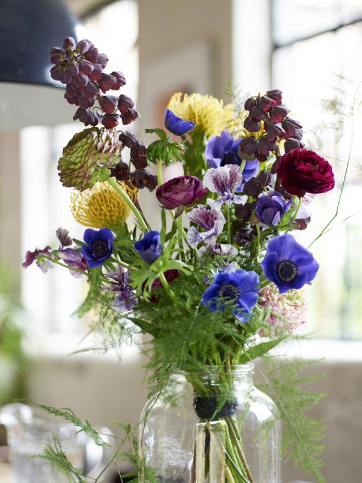 voorjaarsbloemen-bloemenagenda-mooiwatbloemendoen.nl_