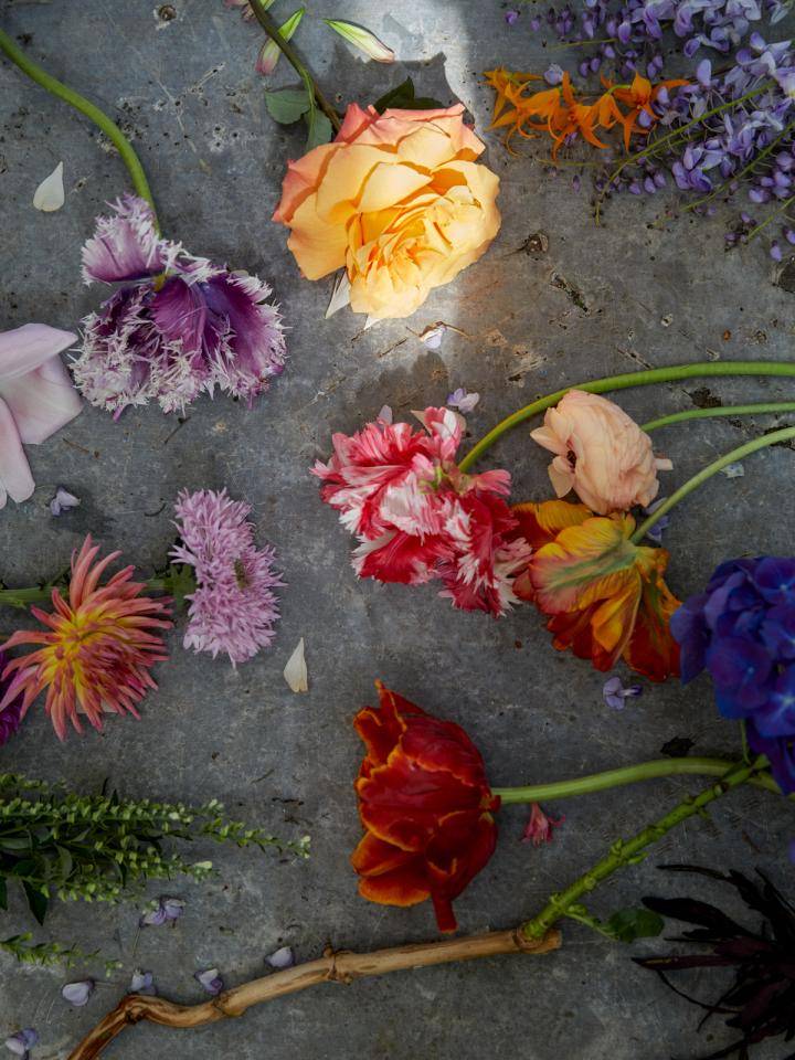 A.P. Bloem bloemen
