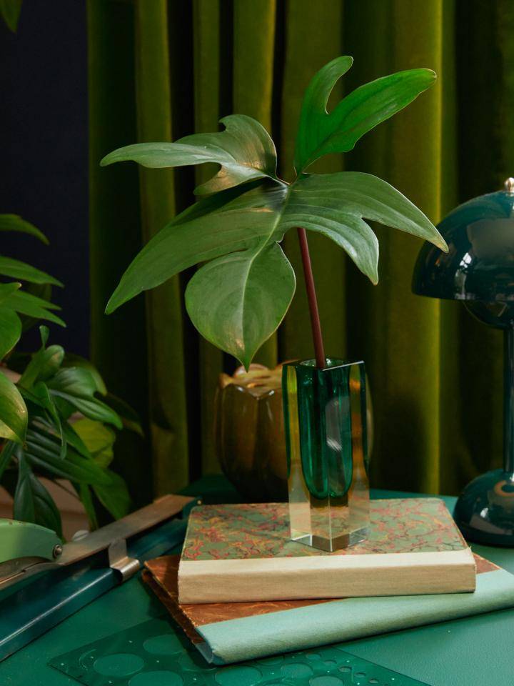 website_Green_0W6A1892