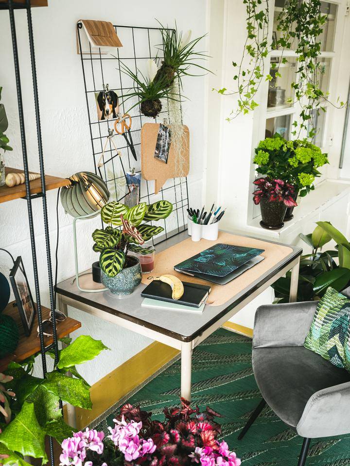 Planten in thuiskantoor