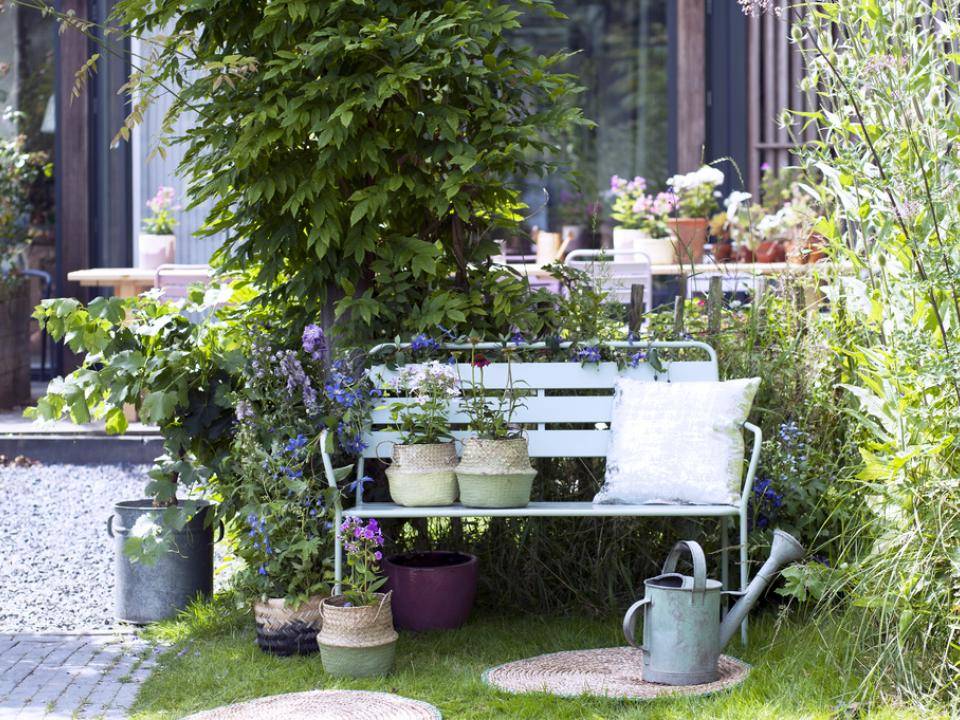 Zomerbloeiende vaste planten