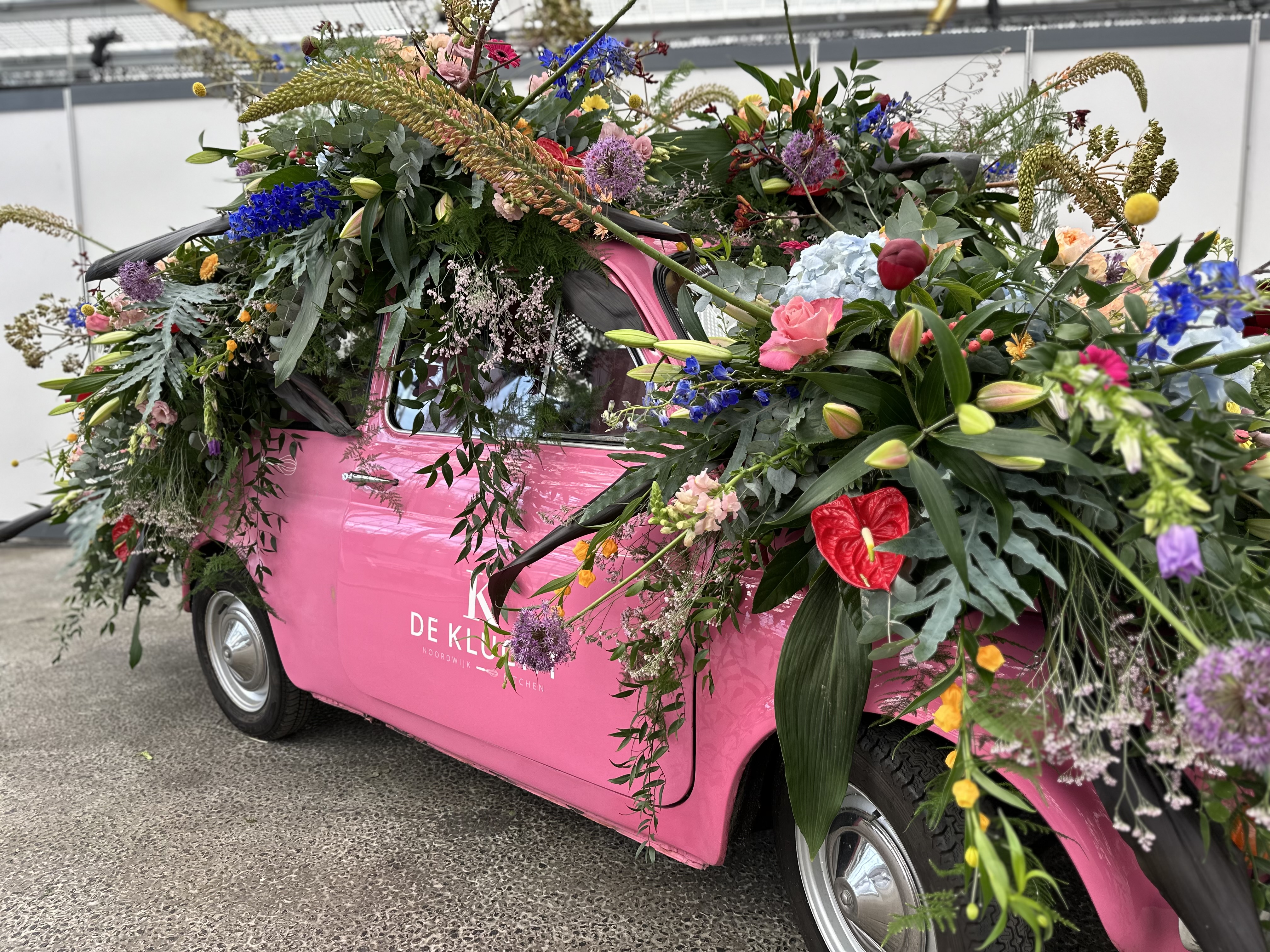 Plants and Flowers Foundation Holland